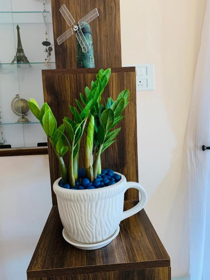 Jasmin Villa Vanivilasa Puram Buitenkant foto